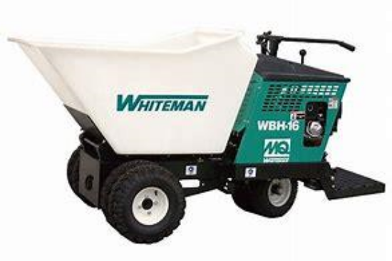 Picture of Georgia Buggy 